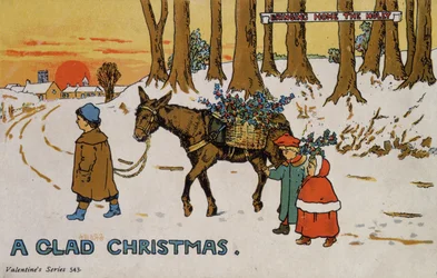 En glad jul - at bringe kristtornen hjem